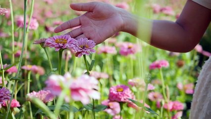 So cute and beautiful woman flowers