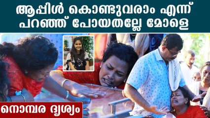 മേക്കപ്പ് ഇട് മോളെ, എന്നെ ഒന്ന് തൊടീക്കൂ, അലതല്ലി കരഞ്ഞ് അമ്മ