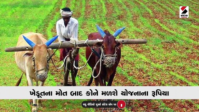 ખેડૂતના મોત બાદ કોને મળશે યોજનાના રૂપિયા, જાણો કેવી રીતે કરશો રજિસ્ટર
