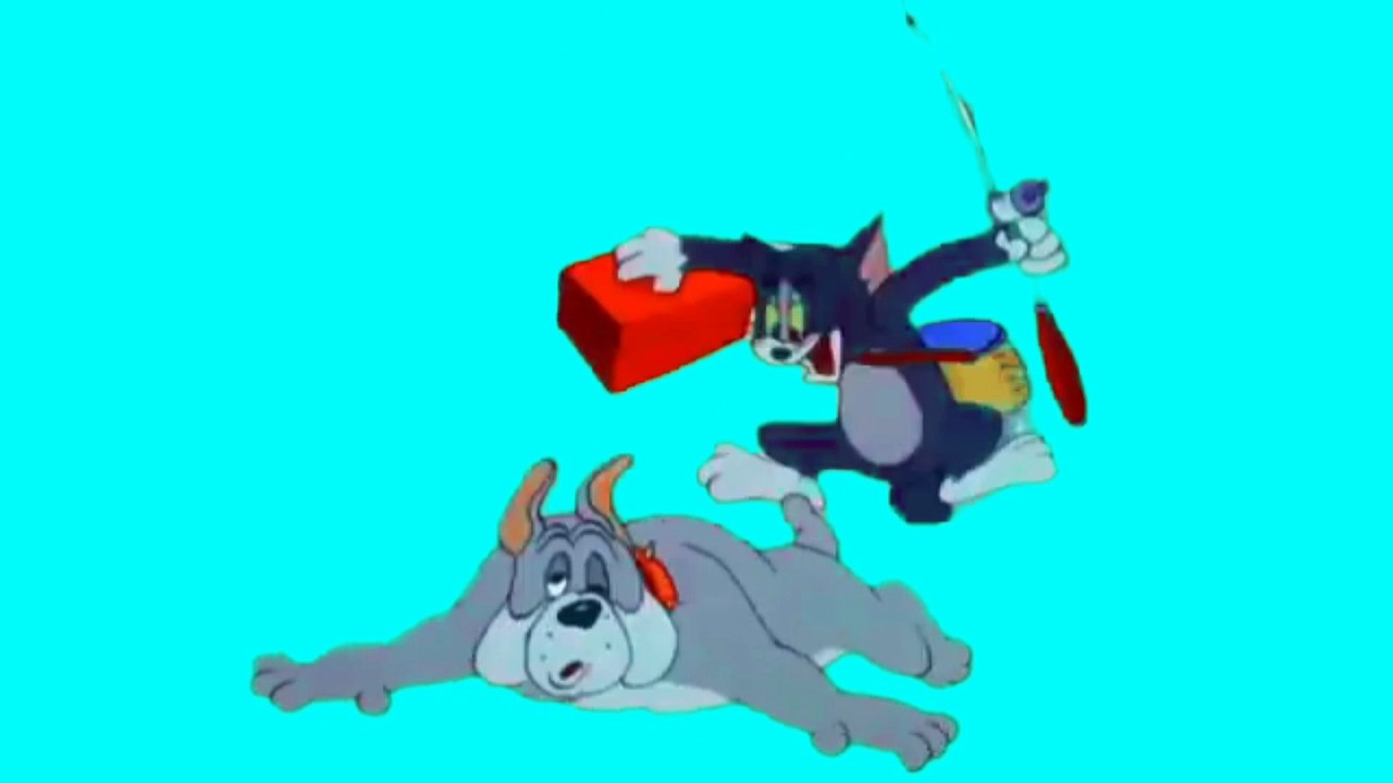 tom and jerry cartoon, cartoon green screen video