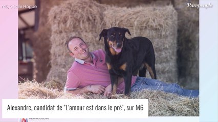 "Alexandre a menti" : Laura (L'amour est dans le pré) remontée, elle balance sur l'agriculteur