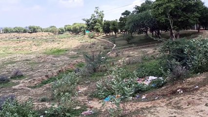 नांदोलाई तलाई की पाल पर बनेगा सार्वजनिक पार्क