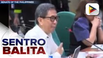 Panukalang budget ng DOE, ERC, at NEA, sumalang sa budget hearing ng Senado