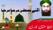 Mushtaq Qadri || Aa Gaye Mustafa Marhaba Marhaba  || Urdu Naat Sharif