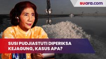 Eks Menteri KKP Susi Pudjiastuti Diperiksa Kejagung, Kasus Apa?