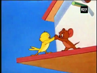tom end jerry طوم و جيري