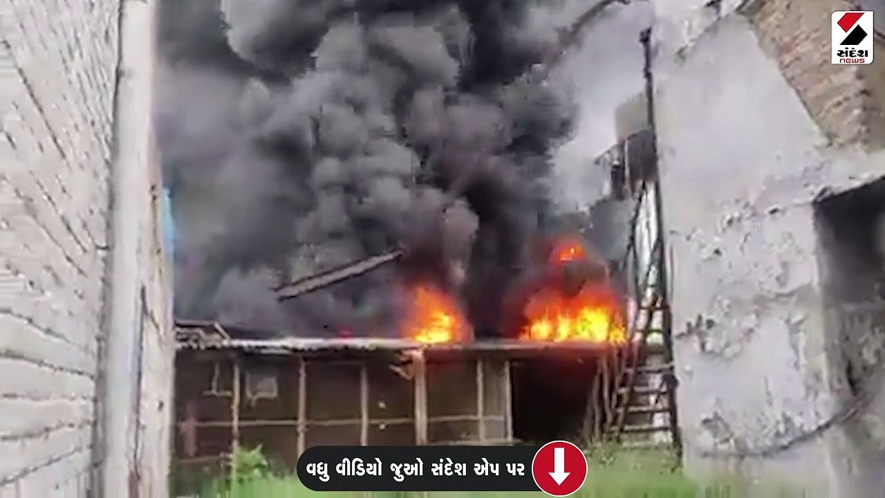 VIDEO: નોઈડાના સેક્ટર-3 ફેક્ટરીમાં ભીષણ આગ, 3 ફાયર બ્રિગેડની ગાડીઓ પહોંચી