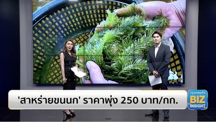 เพาะเลี้ยง 'สาหร่ายขนนก' ราคาพุ่ง 250 บาท/กก.