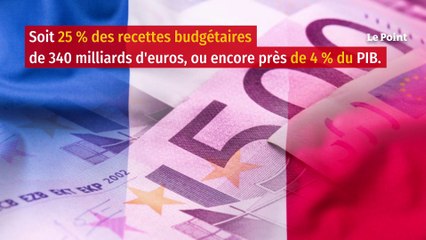 Pourquoi le gouvernement ne touche pas aux niches fiscales