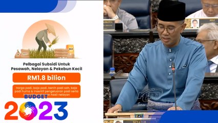 Скачать видео: Budget 2023: Agriculture sector gets RM1.8bil in subsidies and incentives