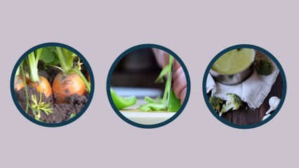 Les légumes de saison