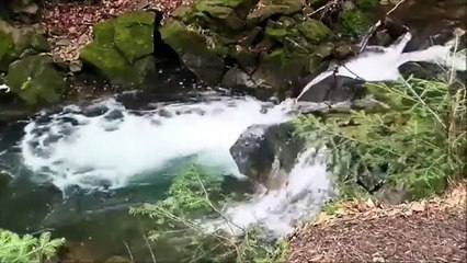 Relaxing Gushing water in river with sound