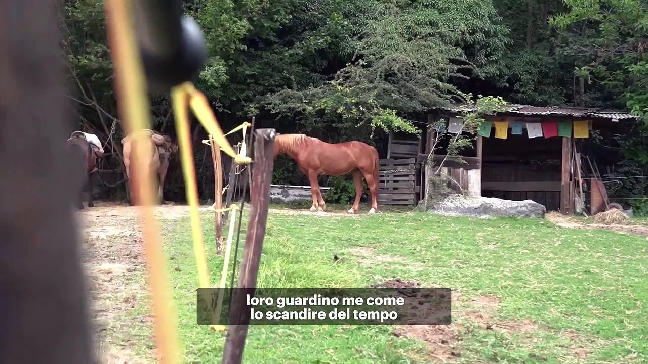 Io viaggio da sola: Paola Giacomini, le incredibili imprese di una donna e i suoi cavalli