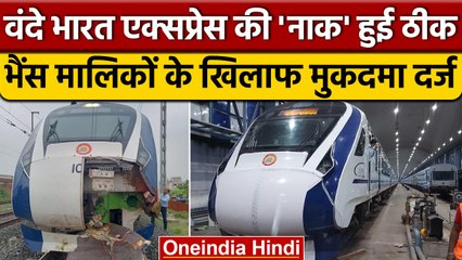 Vande Bharat Express की 'नाक' हुई मरम्मत, भैंस मालिक के खिलाफ FIR |वनइंडिया हिंदी  | *News