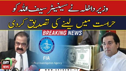 Rana Sanaullah confirms detention of Saifullah Niazi, Hamid Zaman