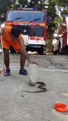 SNAKE  Rescue In Pondicherry. Puducherry Fire And Rescue Service