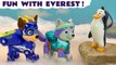 Paw Patrol Everest Rescue Stories with the Mighty Pups Cartoon for Kids and Children