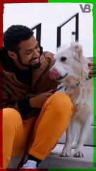 One Dog Year Equals Seven Human Years #shorts