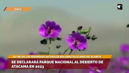 Se declarará Parque Nacional al desierto de Atacama en 2023