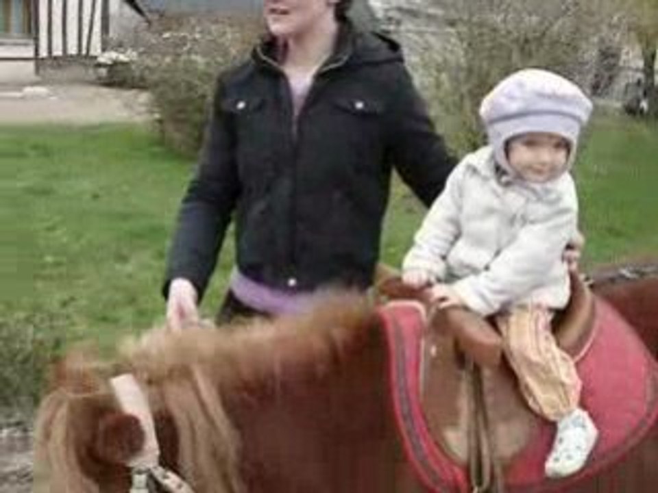 Poney3