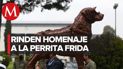 ¡Inmortalizan a una heroína! Marina devela estatua de perrita 'Frida'