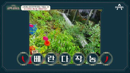 극심한 고통을 없애기 위한 ▶자해◀ 츄가 중독된 '매운맛'