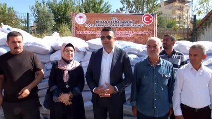 Elazığ haberi! Keban'da 88 çiftçiye hibeli tohum desteği