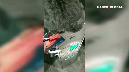 Rahatını bozdurmayan kedi, metroda yolcuya zor anlar yaşattı