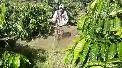 TVGT Sonksor People jrai vietnam weeding lawn mower ?