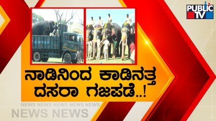 Dasara Elephants Bid Adieu To Their Respective Forest Camps | Public TV