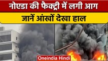 Noida Fire News: Noida के Sector-3 की फैक्ट्री में लगी आग, मच गया हड़कंप| वनइंडिया हिंदी | *News