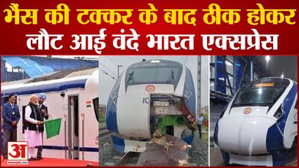 भैंस की टक्कर के बाद पटरी पर लौटी Vande Bharat Express, मवेशी मालिकों के खिलाफ एफआईआर