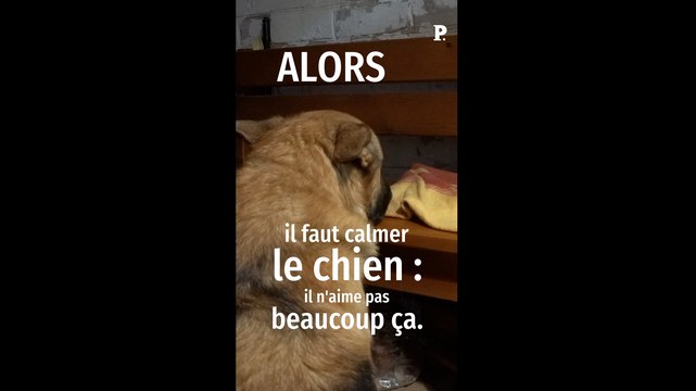 À Lyman, les soldats ukrainiens reprennent la ville aux Russes