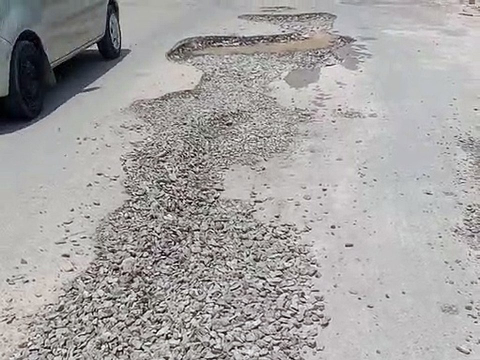 SriGanganagar गड्ढे खोदे और भूल गए: रावण दहन का कसूर या हमारी तकदीर