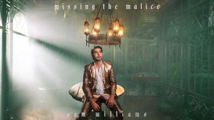 Sam Williams - Missing The Malice (Audio)