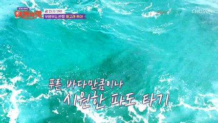 배를 따라 쫒아오는 돌고래들의 아름다운 점프 TV CHOSUN 221007 방송