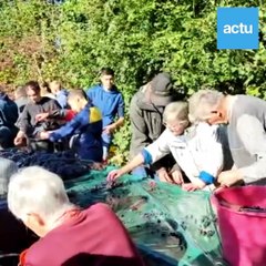 Dans l'Orne, à Écouves, près d'Alençon, les vendanges ont quinze jours d'avance !