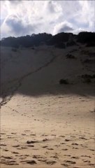 Surfer sur les dunes de sable... Complètement dingue