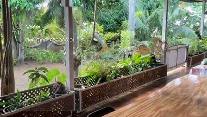 Vente maison de 150m2 en viager à Punaauia