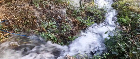 Hear the sound of trickling water Enjoy nature