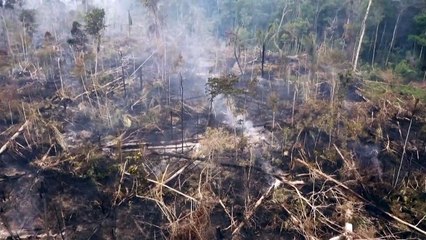 Desmatamento na Amazônia brasileira registra recorde em setembro