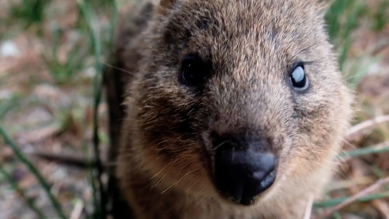 Australia To Preserve 30 Percent Of Its Land In A Natural State