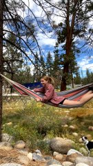 Hanging Hammock Hangs No More