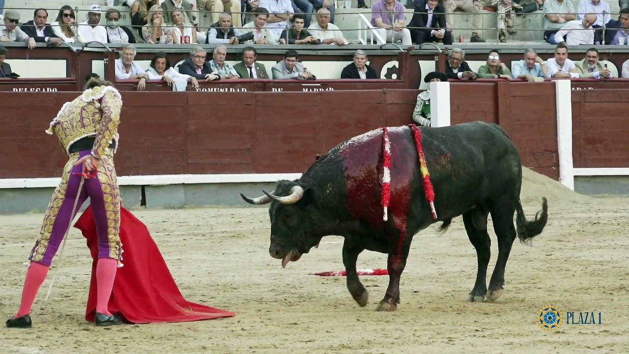 Madrid 6-10-2022