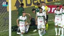 Palmeiras x Coritiba (Campeonato Brasileiro 2022 30ª rodada) 1° tempo