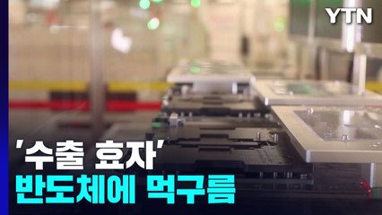 '수출 효자' 반도체에 먹구름...지원법은 국회 표류 / YTN