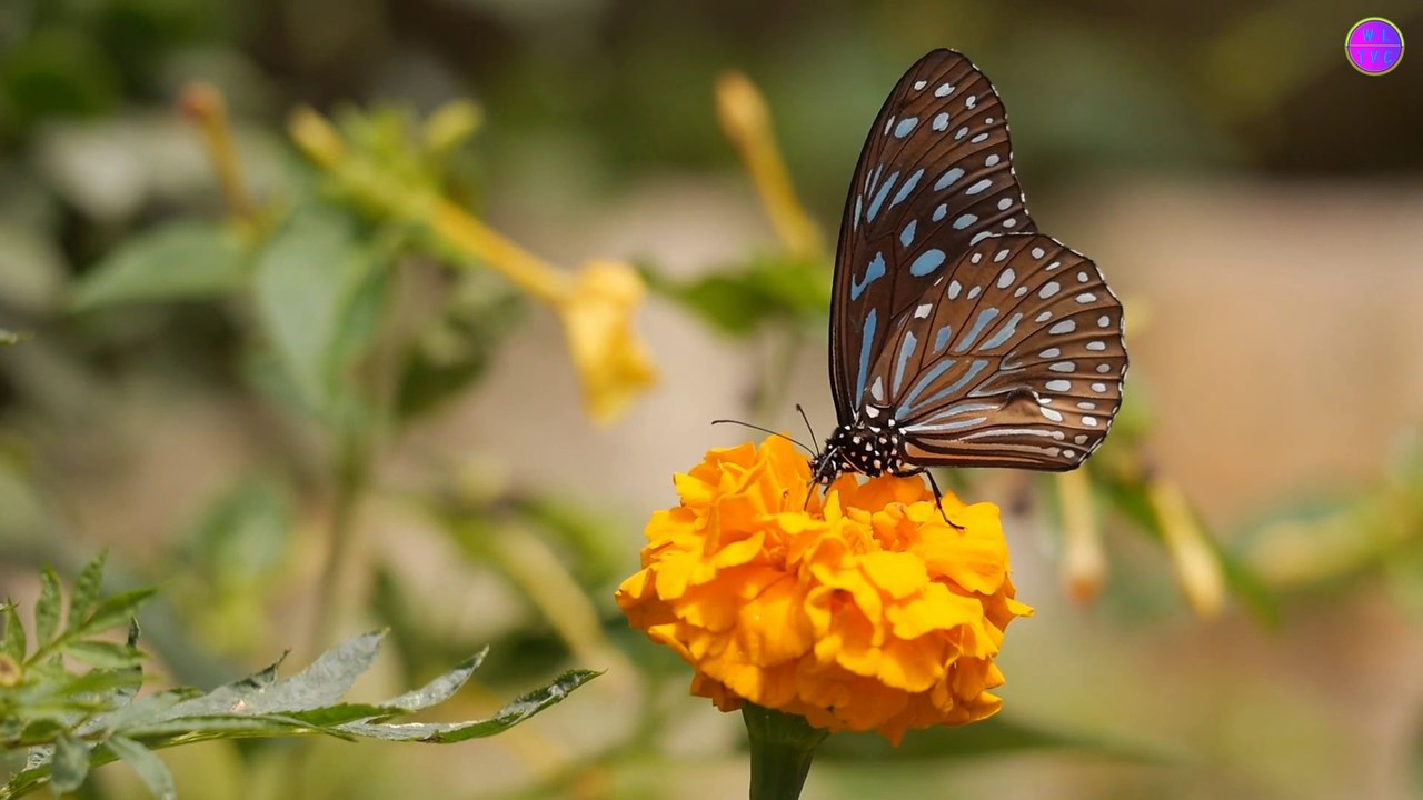 Beautiful nature