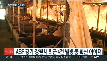 가축 전염병 '비상'…정부, 특별 방역 나서