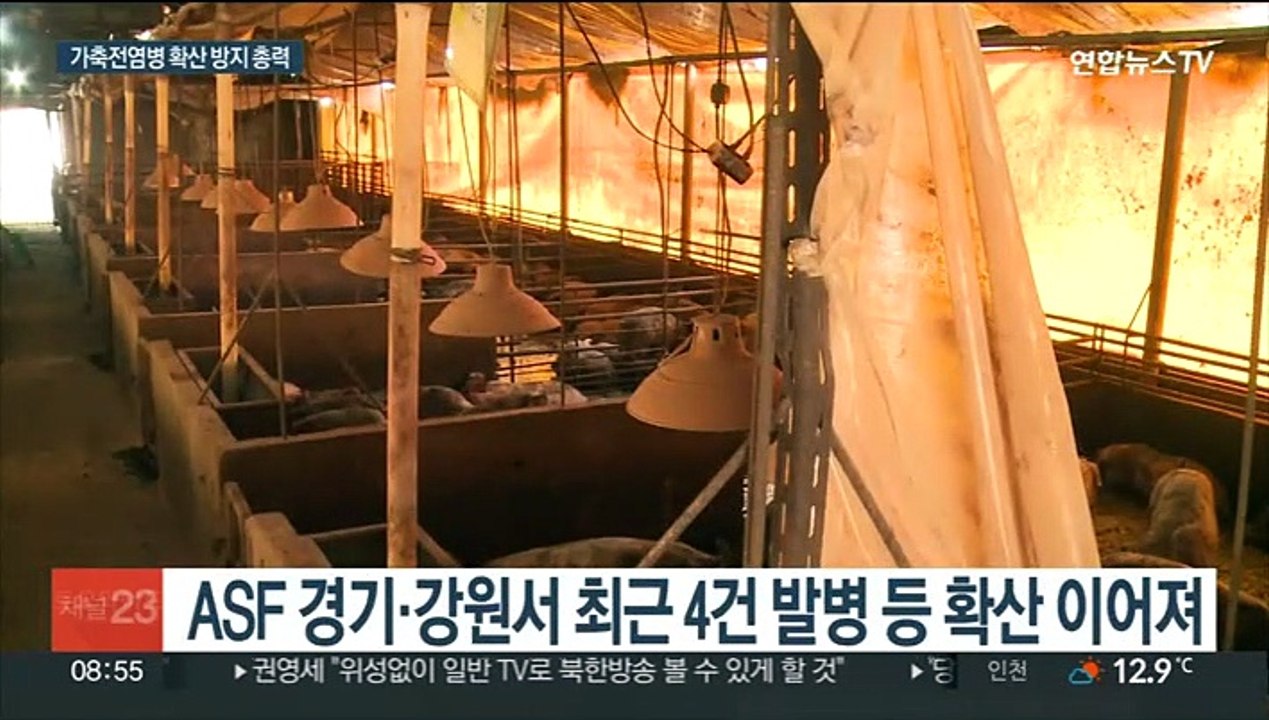 가축 전염병 '비상'…정부, 특별 방역 나서