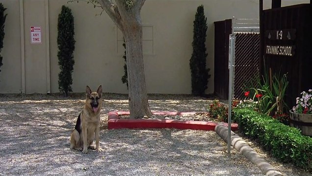 Chien de flic Bande-annonce (RU)